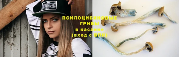 наркотики Алексеевка