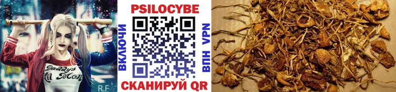 Псилоцибиновые грибы GOLDEN TEACHER  магазин продажи   Лахденпохья 